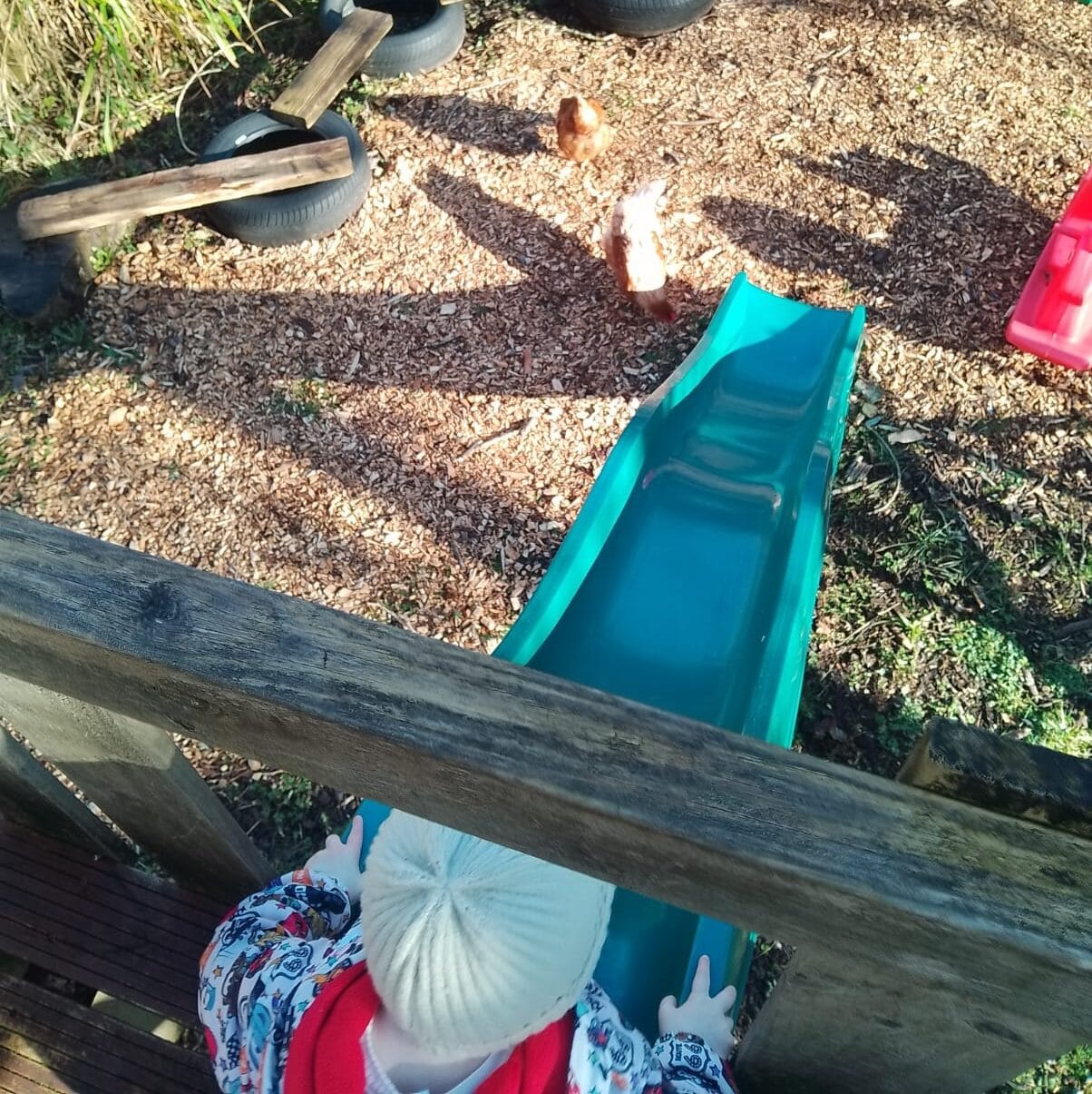 Family Bushcraft Taster Day - Image 5