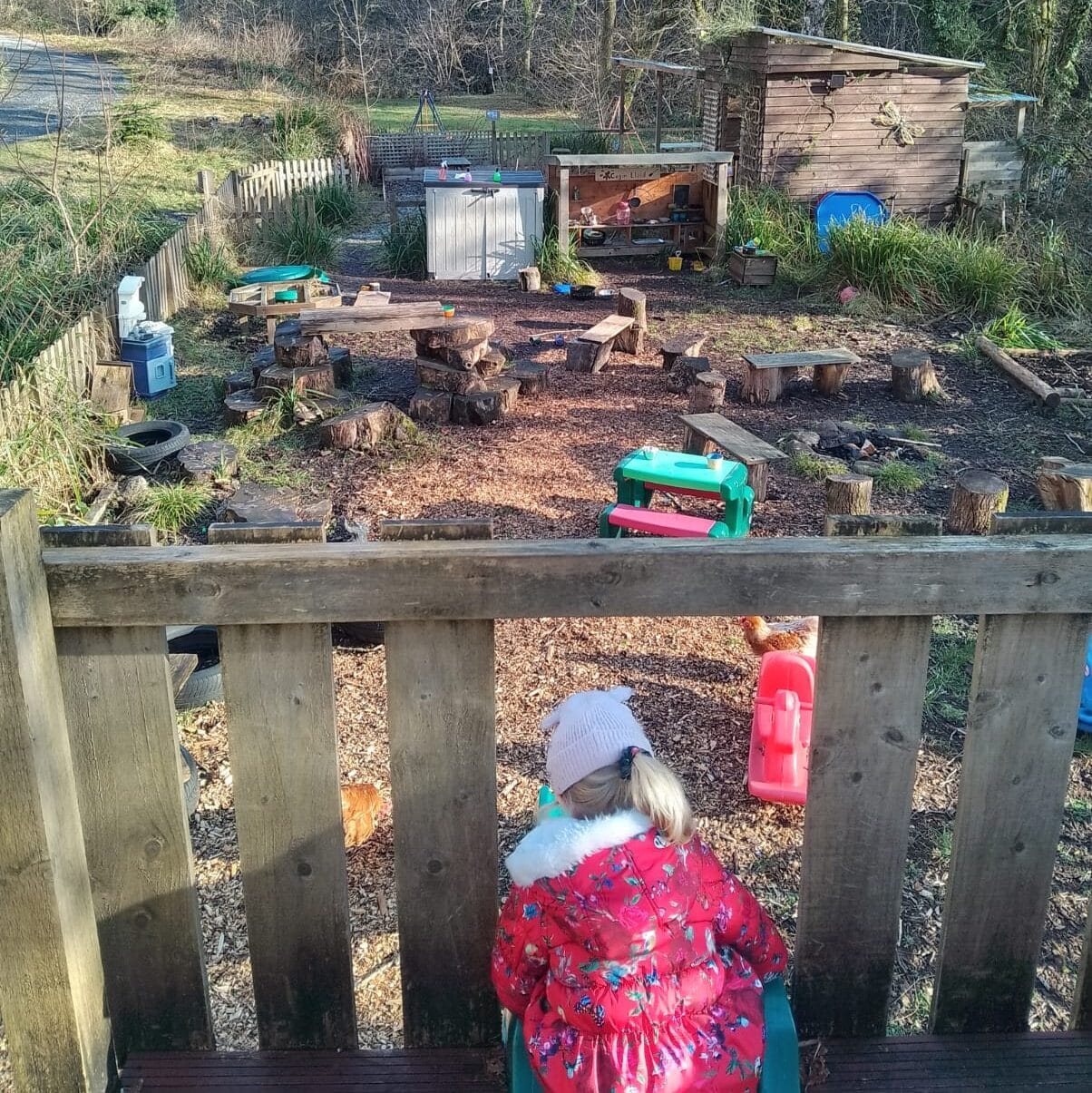 Family Bushcraft Taster Day - Image 3